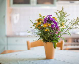 Ferienwohnung Nr. 2 im Bauernhaus, Garten